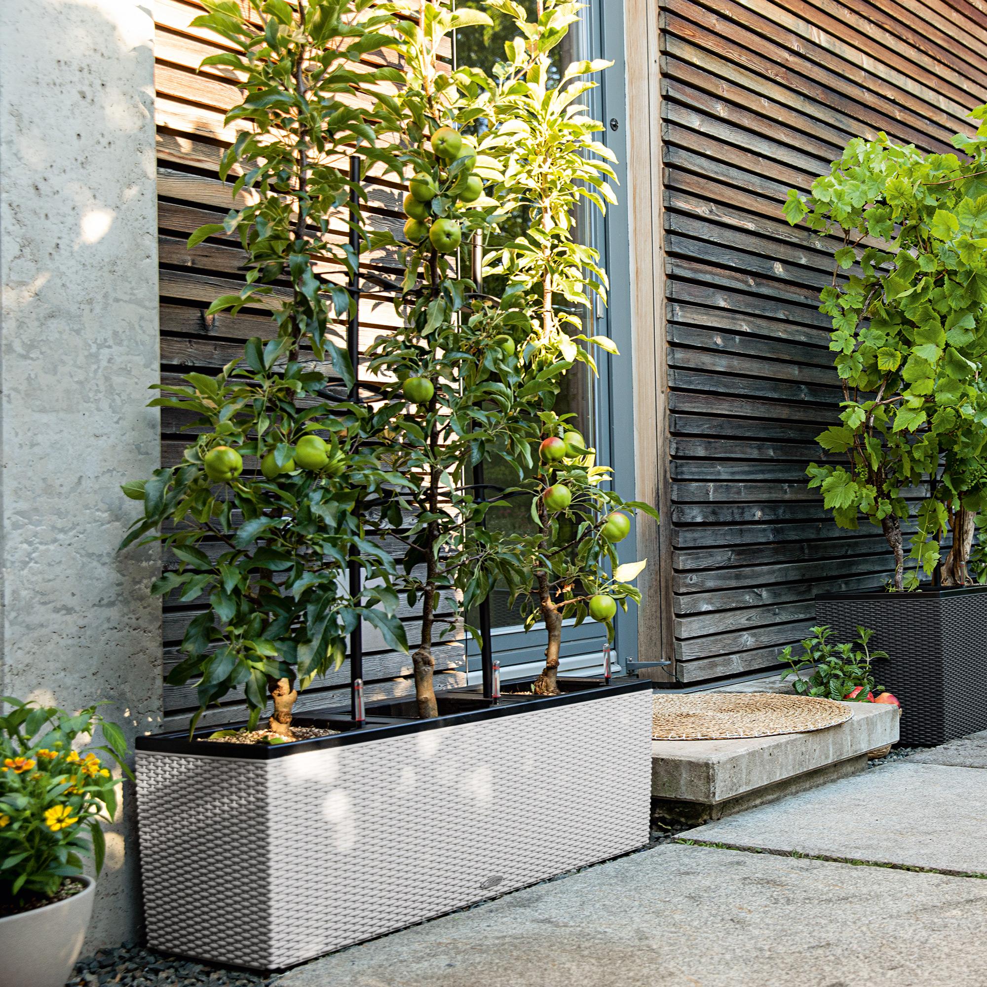 le_trio-cottage30_product_addi_04